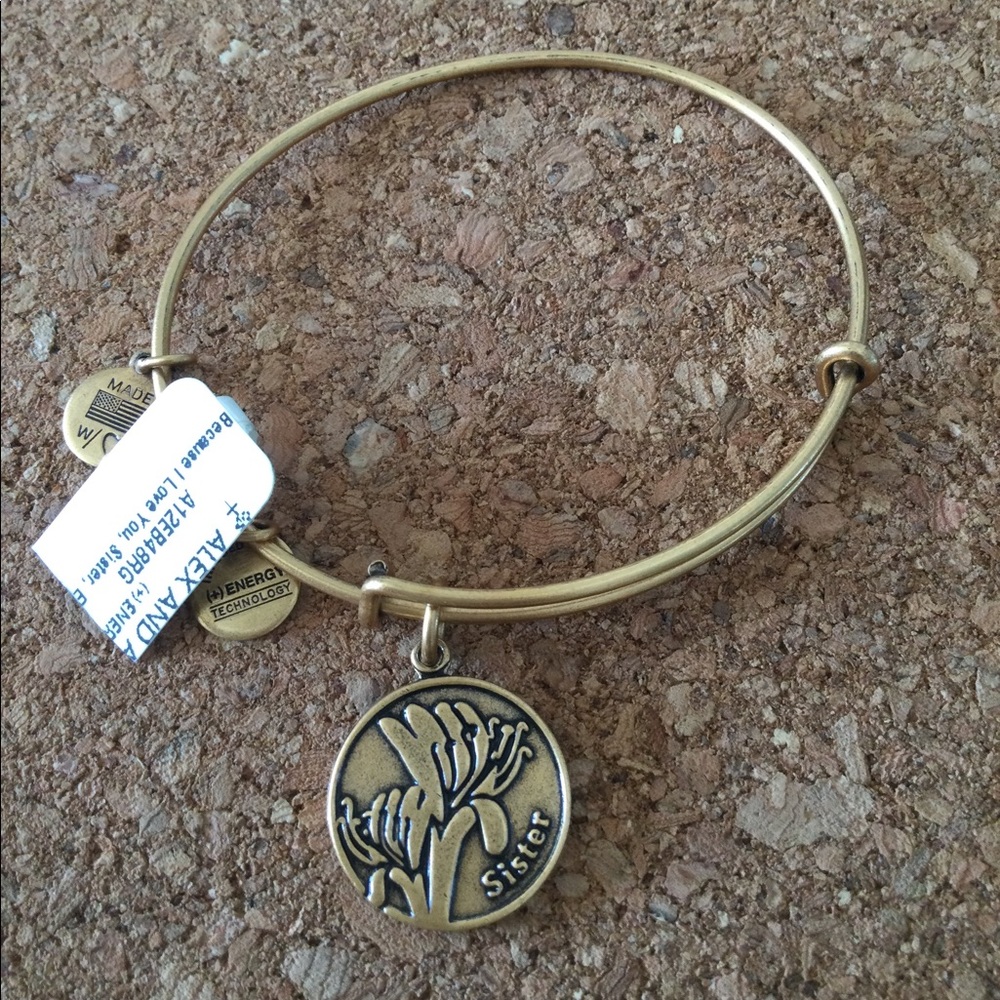 Alex a d Ani bracelet